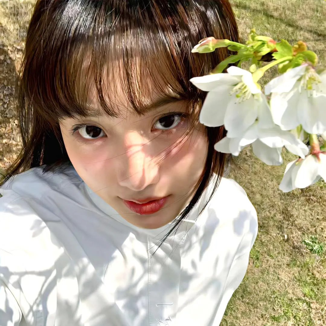 万紫千红花弄蝶